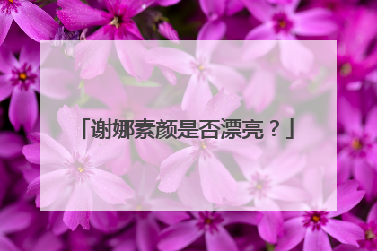 谢娜素颜是否漂亮？