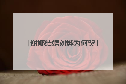 谢娜结婚刘烨为何哭