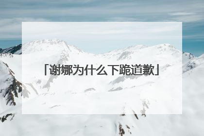 谢娜为什么下跪道歉