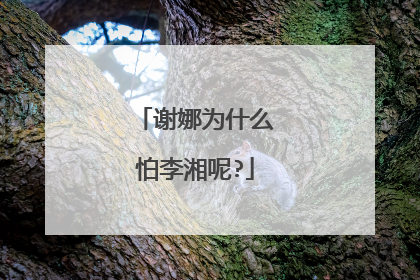 谢娜为什么怕李湘呢?