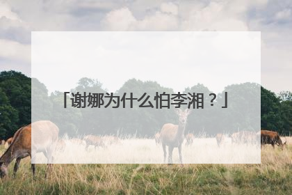 谢娜为什么怕李湘?