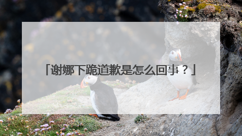 谢娜下跪道歉是怎么回事?