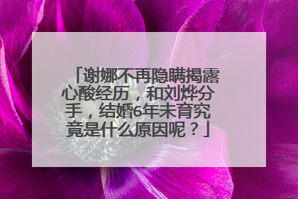 谢娜不再隐瞒揭露心酸经历,和刘烨分手,结婚6年未育究竟是什么原因呢?