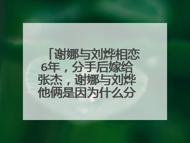 谢娜与刘烨相恋6年,分手后嫁给张杰,谢娜与刘烨他俩是因为什么分手的?
