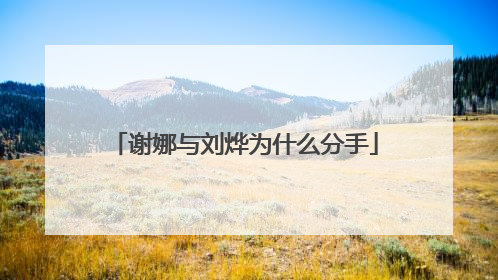 谢娜与刘烨为什么分手