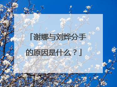 谢娜与刘烨分手的原因是什么?