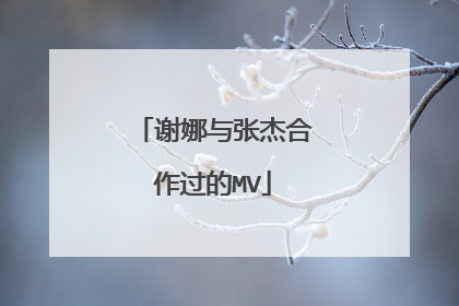 谢娜与张杰合作过的MV