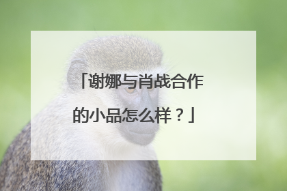 谢娜与肖战合作的小品怎么样？