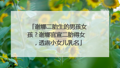 谢娜二胎生的男孩女孩？谢娜官宣二胎得女，透露小女儿乳名