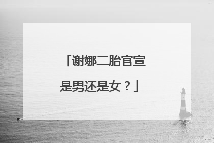 谢娜二胎官宣是男还是女?