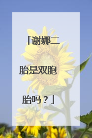 谢娜二胎是双胞胎吗?