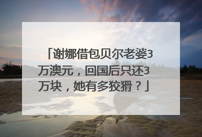 谢娜借包贝尔老婆3万澳元,回国后只还3万块,她有多狡猾?