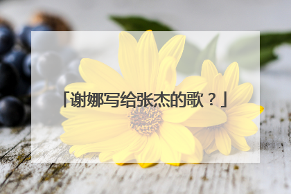 谢娜写给张杰的歌?