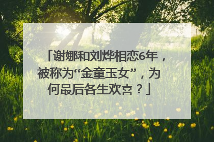 谢娜和刘烨相恋6年，被称为“金童玉女”，为何最后各生欢喜？