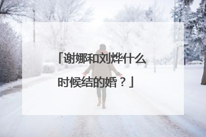 谢娜和刘烨什么时候结的婚？