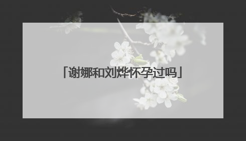 谢娜和刘烨怀孕过吗