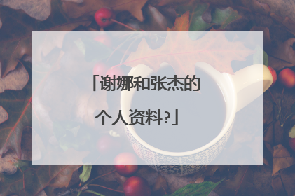 谢娜和张杰的个人资料?