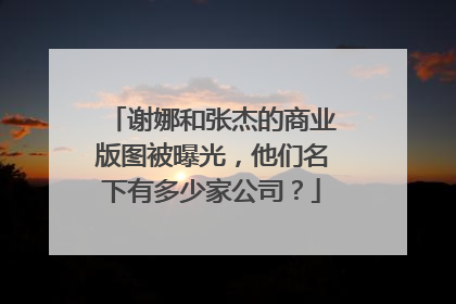 谢娜和张杰的商业版图被曝光，他们名下有多少家公司？