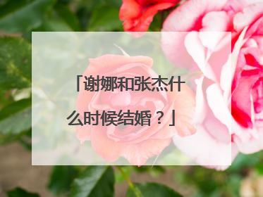 谢娜和张杰什么时候结婚?