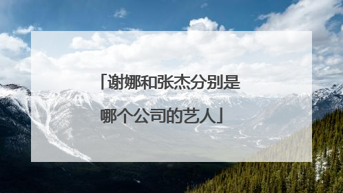 谢娜和张杰分别是哪个公司的艺人