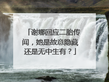 谢娜回应二胎传闻，她是故意隐藏还是无中生有？