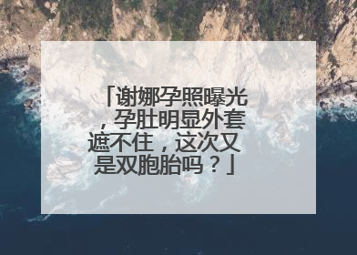 谢娜孕照曝光,孕肚明显外套遮不住,这次又是双胞胎吗?