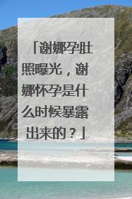 谢娜孕肚照曝光,谢娜怀孕是什么时候暴露出来的?