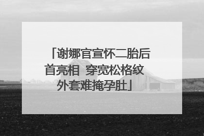 谢娜官宣怀二胎后首亮相 穿宽松格纹外套难掩孕肚