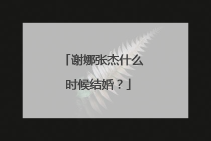 谢娜张杰什么时候结婚？