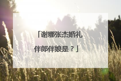 谢娜张杰婚礼伴郎伴娘是？