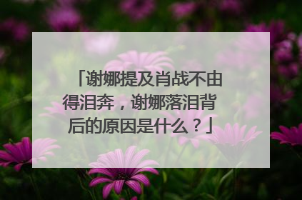 谢娜提及肖战不由得泪奔，谢娜落泪背后的原因是什么？