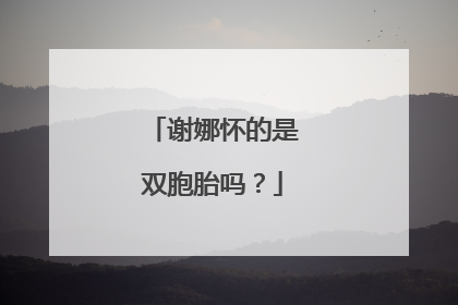 谢娜怀的是双胞胎吗?