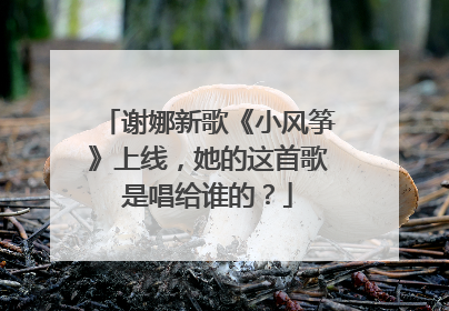 谢娜新歌《小风筝》上线，她的这首歌是唱给谁的？