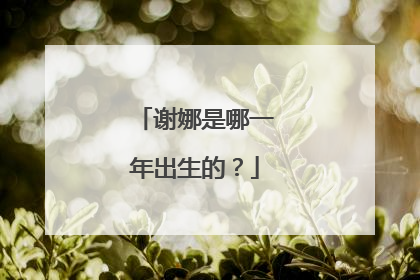 谢娜是哪一年出生的?