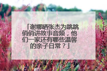 谢娜晒张杰为跳跳俏俏讲故事音频,他们一家还有哪些温馨的亲子日常?