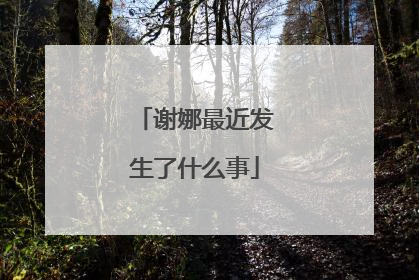 谢娜最近发生了什么事