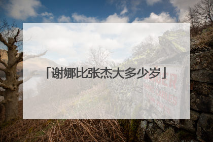 谢娜比张杰大多少岁