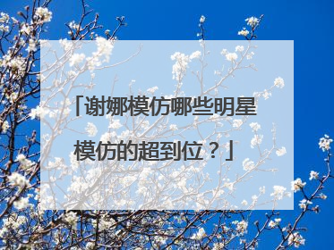 谢娜模仿哪些明星模仿的超到位？