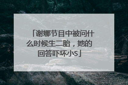 谢娜节目中被问什么时候生二胎,她的回答吓坏小S
