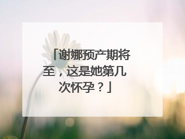 谢娜预产期将至,这是她第几次怀孕?