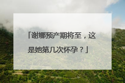 谢娜预产期将至,这是她第几次怀孕?