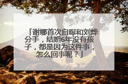 谢娜首次自曝和刘烨分手,结婚6年没有孩子,都是因为这件事,怎么回事呢?