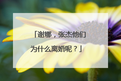 谢娜，张杰他们为什么离婚呢？