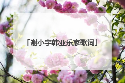 谢小宇韩亚乐家歌词