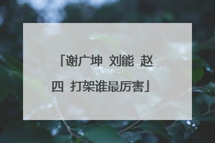 谢广坤 刘能 赵四 打架谁最厉害
