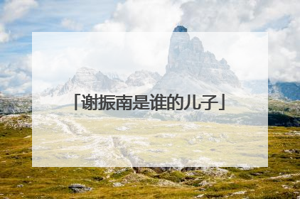 谢振南是谁的儿子