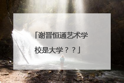 谢晋恒通艺术学校是大学??