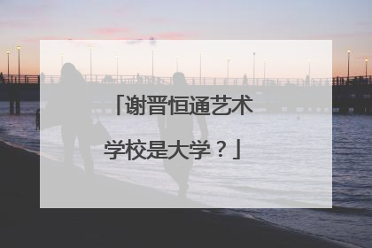 谢晋恒通艺术学校是大学?