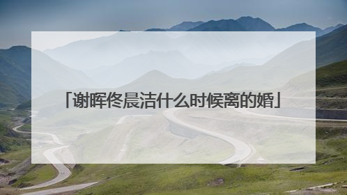 谢晖佟晨洁什么时候离的婚