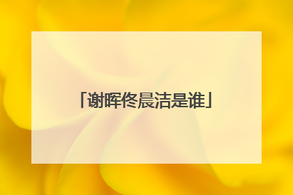 谢晖佟晨洁是谁